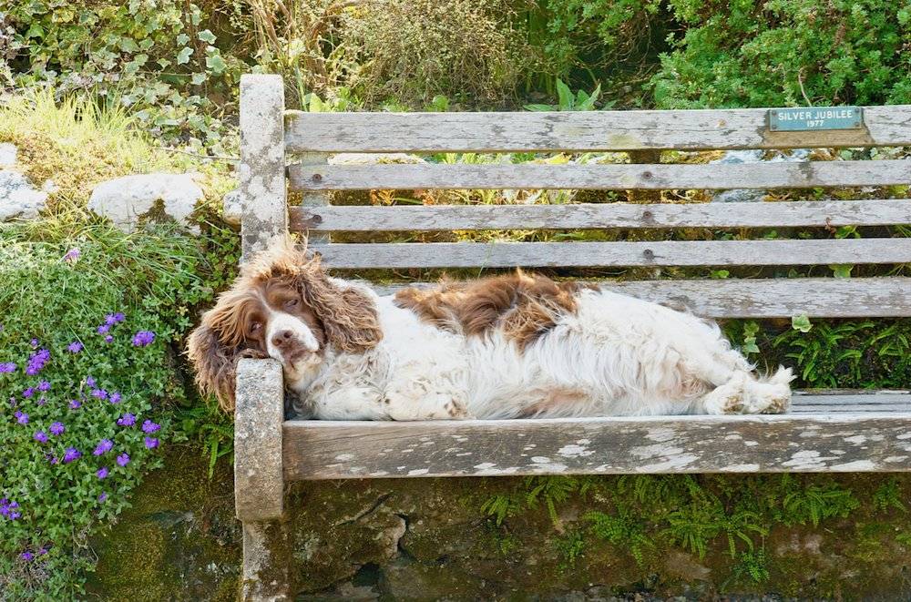 South Farm Holiday Cottages And Fishery In Devon