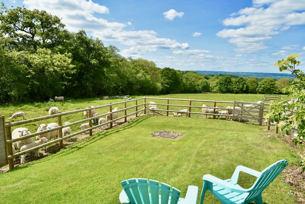 Oaktree holiday cottage in Devon