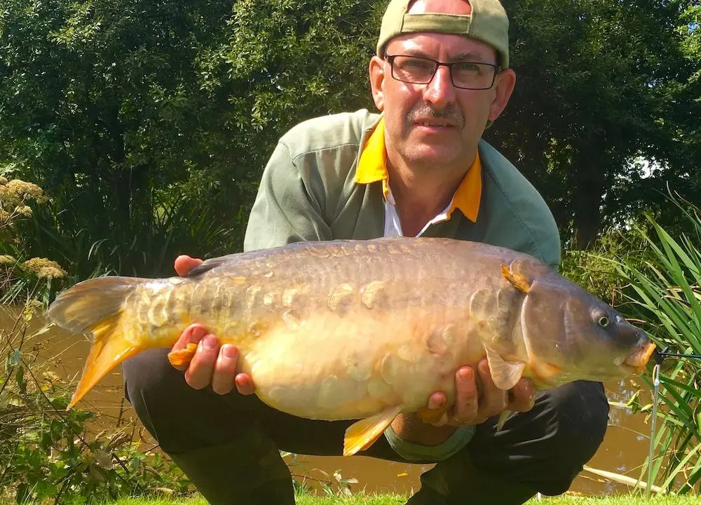 angler in glasses and a cap kneels fishing lake, holding a large common carp he has caught.