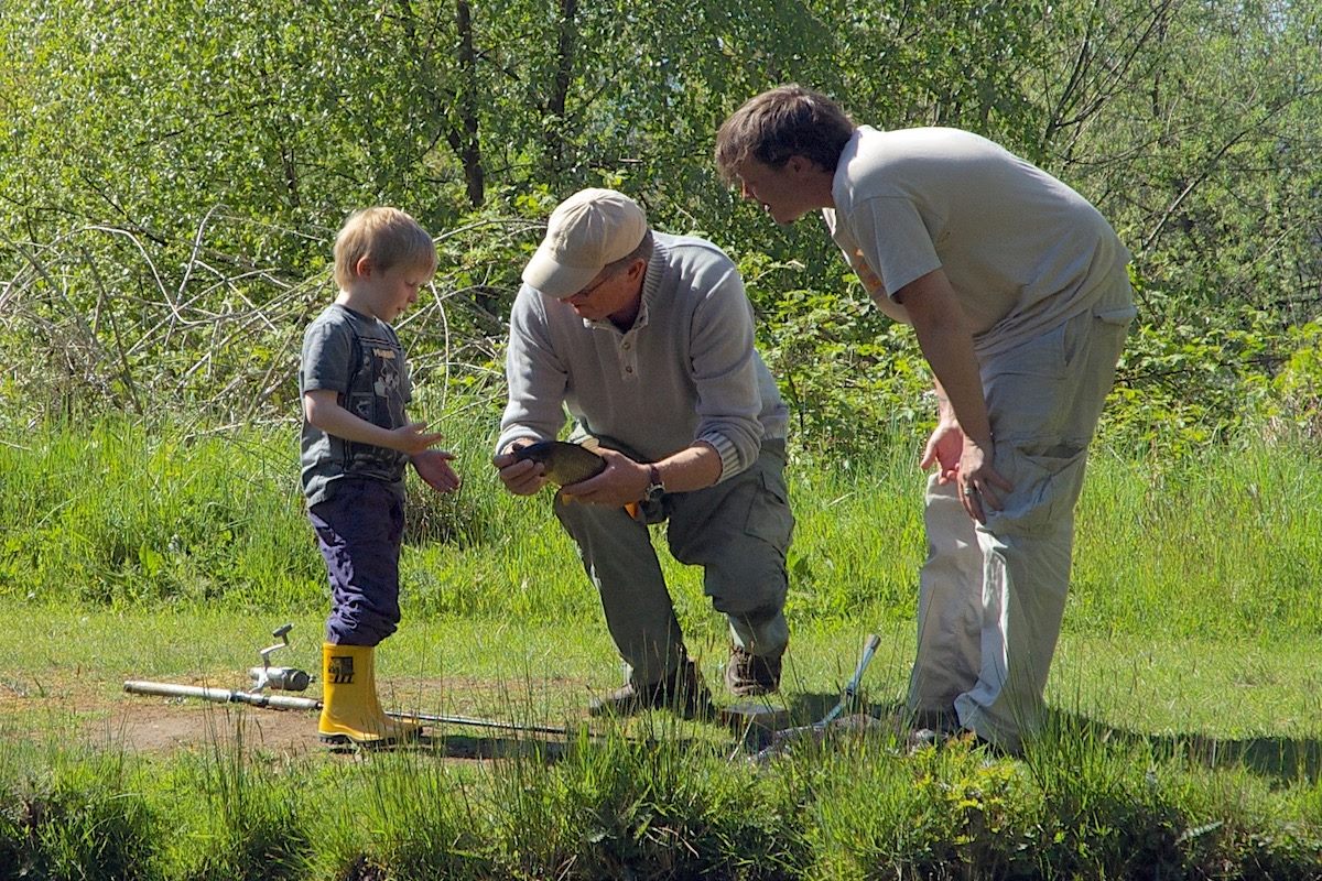 A special family fishing outing in the UK, spanning three generations. A grandfather shares his catch with his grandson, while the father observes, highlighting the bond and shared experience of fishing in the British countryside.