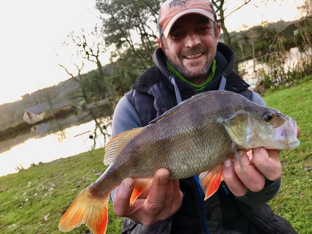 A successful catch of a perch at South Farm Holiday Cottages & Fishery in the UK. An angler holds the fish, showcasing its identifying features such as the barred pattern and red fins.