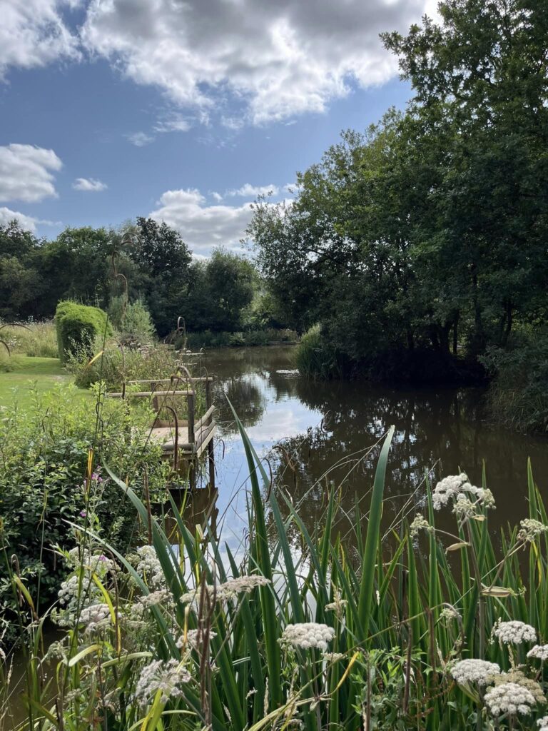 Home lake with it's accessibility wooden platform and wildflowers.