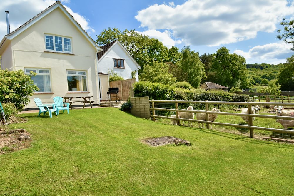 Oaktree Holiday cottage with sheep in a nearby field.