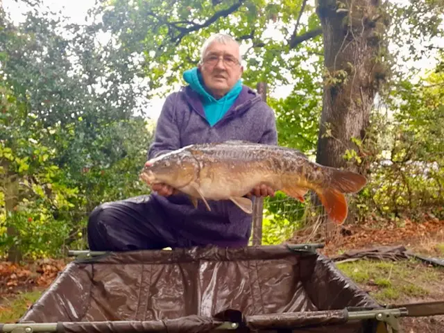 fish 6